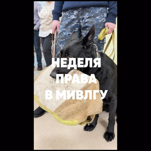 Неделя права