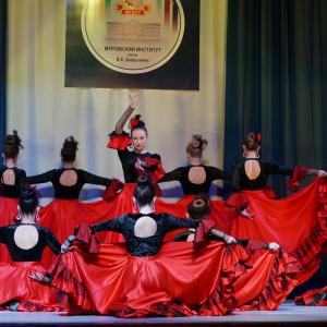 Посвящение в студенты МИ ВлГУ