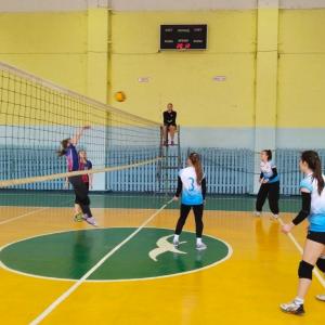 Волейбольный турнир к 8 Марта объединил поколения