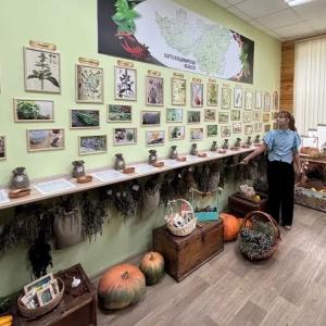 Практика для будущих специалистов