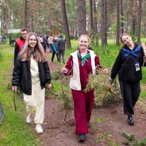 СОВА пролетела. И это – не птица
